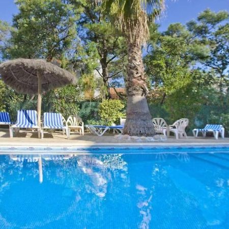Studio/F1Bis A 50 M De La Plage Argelès-sur-Mer Exteriér fotografie