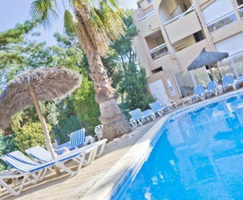 Studio/F1Bis A 50 M De La Plage Argelès-sur-Mer Exteriér fotografie