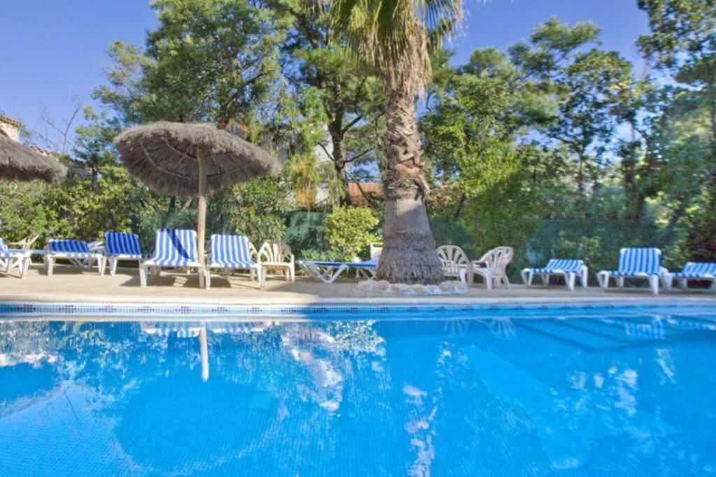 Studio/F1Bis A 50 M De La Plage Argelès-sur-Mer Exteriér fotografie
